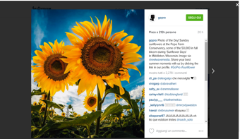 GoPro-Instagram-girasole